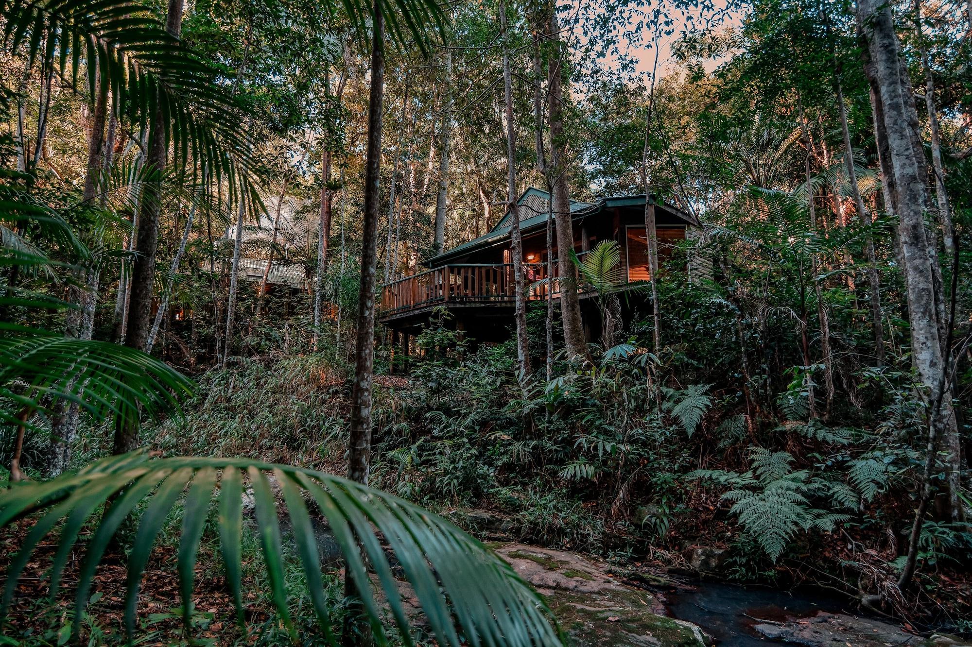 Narrows Escape Rainforest Retreat Lodge